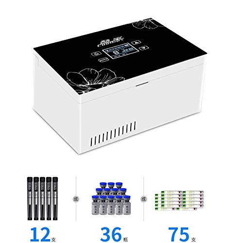 Insulin kühler A Insulina Refrigerada Caja Mini Portátil Hogar Refrigerado Nevera Recargable Pequeño Refrigerador Termostático Y Caja De LCD Inteligente Insulina Coche Viajes