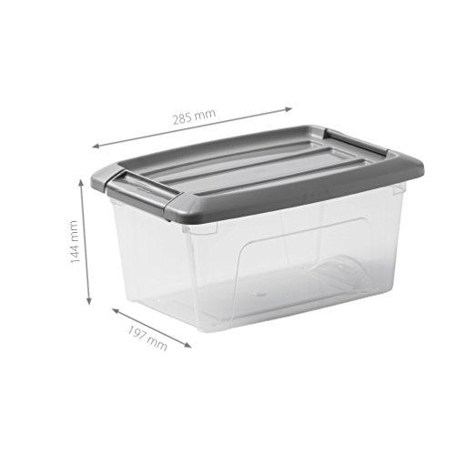 Iris Ohyama New Top Box NTB-5 - lote de 6 cajas apilables de almacenamiento, Transparente/Gris, 5 L