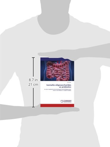 Isomalto-oligosaccharides as prebiotics