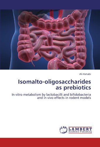 Isomalto-oligosaccharides as prebiotics