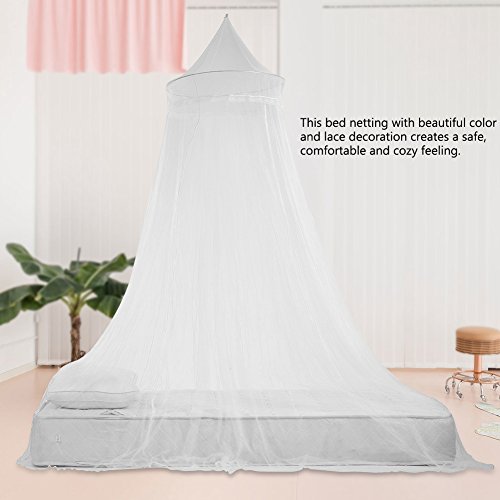 Jingyi Anti-Mosquito Mosquitera, Hermoso Encaje con Dosel de Malla Fina para la Cama de Las niñas, Hermoso Dormitorio de Color Hotel para el hogar para el Dormitorio de la niña(White)