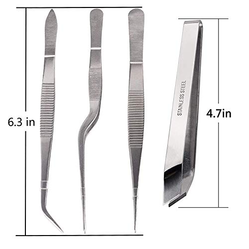 Juego de 4 pinzas de acero inoxidable de 16 cm con puntas afiladas y dentadas de precisión, color plateado, utensilios de cocina, de belleza o medicina