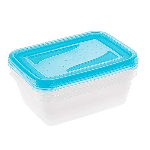 keeeper Set de 3 Fiambreras, 3 x 1,25 l, 20,5 x 15,5 x 6,5 cm, Fredo Fresh, Azul transparente