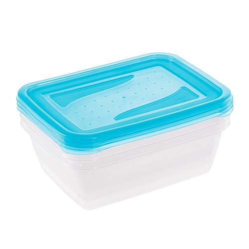 keeeper Set de 3 Fiambreras, 3 x 1,25 l, 20,5 x 15,5 x 6,5 cm, Fredo Fresh, Azul transparente