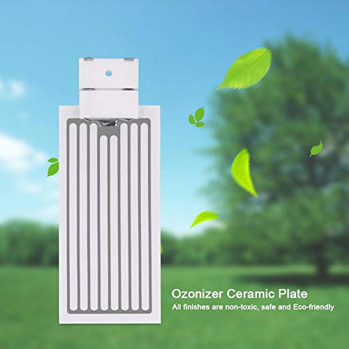 Kit de purificador de aire de placa de cerámica Ozonizador generador de ozono portátil(3.5g)