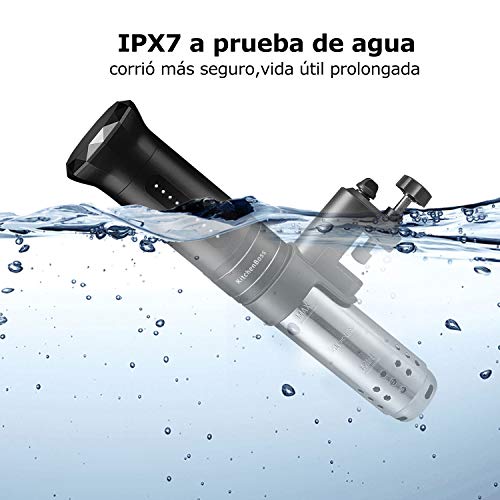 KitchenBoss Sous Vide Aparato de Cocina Precisión 1100W Inmersión a Prueba de Agua IPX7 Circuladores Control de Temperatura de Precisión Incluido 10 Bolsas envasado al vacío