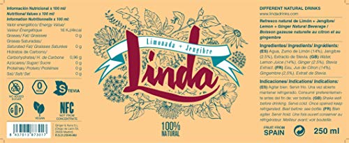 Limonada + Jengibre (12 unidades 250ml)