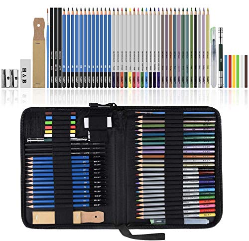 Lypumso Lapices de Dibujo Artístico, Set de Lápices Colores Profesional Bosquejo Carbón Grafito Sticks, Estuche Lápices de Color. Conjunto Ideal para Artistas, Adultos y Niños (51 Piezas)