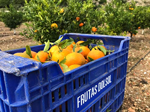 Mandarinas de Valencia DOLSOL. (5kg) Mandarinas de Valencia DOLSOL. Familia de agricultores con campos en Tavernes de la Valldigna desde 1977. ¡El sabor es lo nuestro!