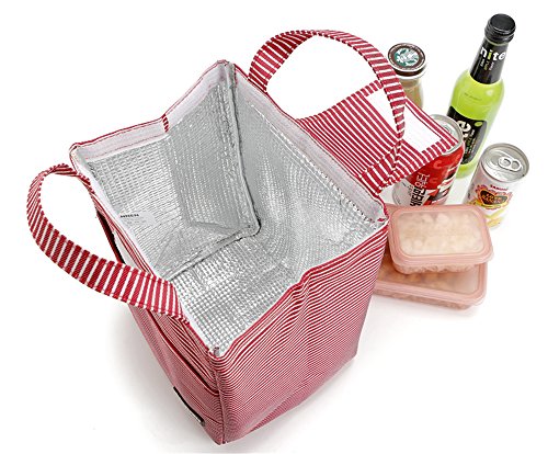 Melnne - SanNeng 9L Con aislamiento térmico a prueba de agua del refrigerador del almuerzo de picnic Caja de almacenamiento de la bolsa de asas,Diseño de rayas con colores