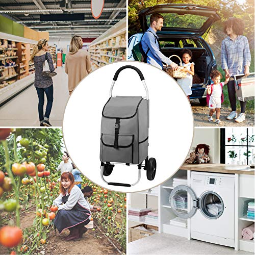 Mfavour Carro de la compra,carrito de compras estable plegable empujado/tirar, carrito de la compra 2 ruedas con bolsa de Oxford desmontable 45 kg, 45 L, gris