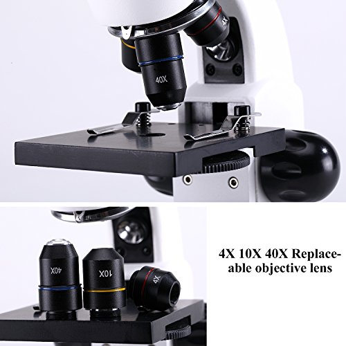 Microscopio Para Niños,Biológico Professional Para USCAMEL, con Luces LED x400 y Porciones Bióticas, Para que Los Niños Aprendan a Experimentar