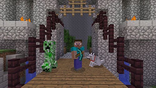 Minecraft - Edición Estándar, PlayStation 3, Disco, Versión 117