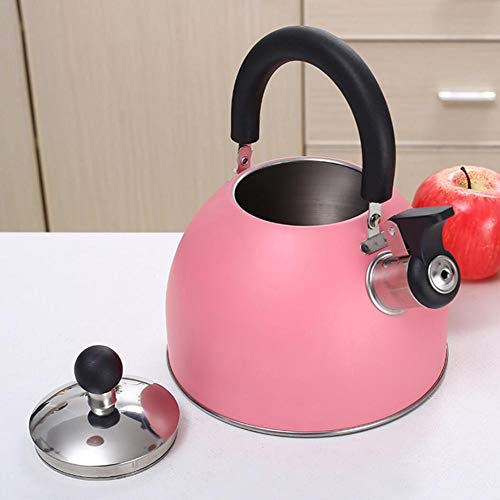 miraculocy Hervidor de Té Inoxidable, Hervidor Silbato, Tetera de Acero Inoxidable con Mango Ergonómico, Hervidor de Agua Ecológico Olla para Estufas para Todos los Estufas 2L