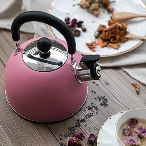 miraculocy Hervidor de Té Inoxidable, Hervidor Silbato, Tetera de Acero Inoxidable con Mango Ergonómico, Hervidor de Agua Ecológico Olla para Estufas para Todos los Estufas 2L