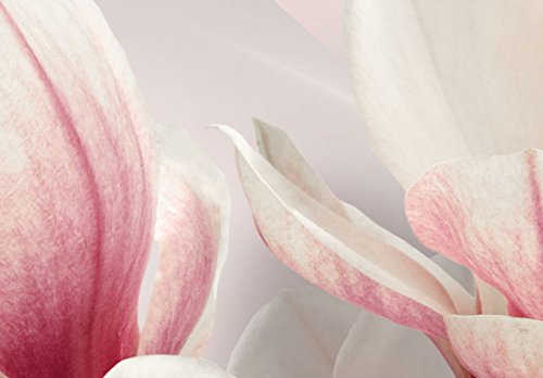 murando - Cuadro en Lienzo Magnolias Flores 200x100 - Impresión de 5 Piezas Material Tejido no Tejido Impresión Artística Imagen Gráfica Decoracion de Pared Naturaleza b-A-0217-b-m