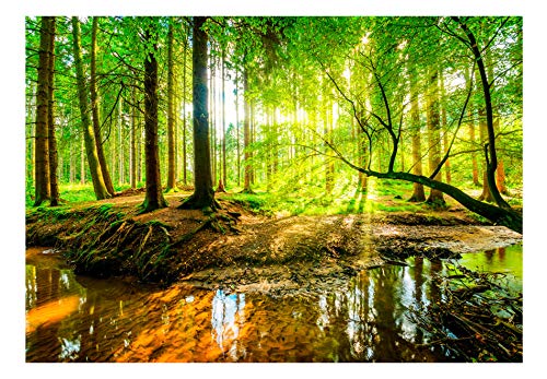 murando Fotomurales 400x280 cm XXL Papel pintado tejido no tejido Decoración de Pared decorativos Murales moderna de Diseno Fotográfico Bosque Naturaleza c-B-0241-a-a