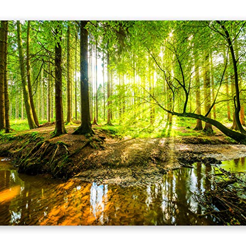 murando Fotomurales 400x280 cm XXL Papel pintado tejido no tejido Decoración de Pared decorativos Murales moderna de Diseno Fotográfico Bosque Naturaleza c-B-0241-a-a