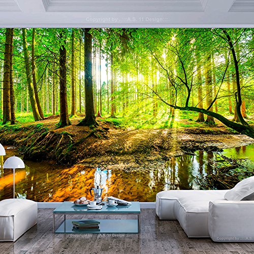 murando Fotomurales 400x280 cm XXL Papel pintado tejido no tejido Decoración de Pared decorativos Murales moderna de Diseno Fotográfico Bosque Naturaleza c-B-0241-a-a