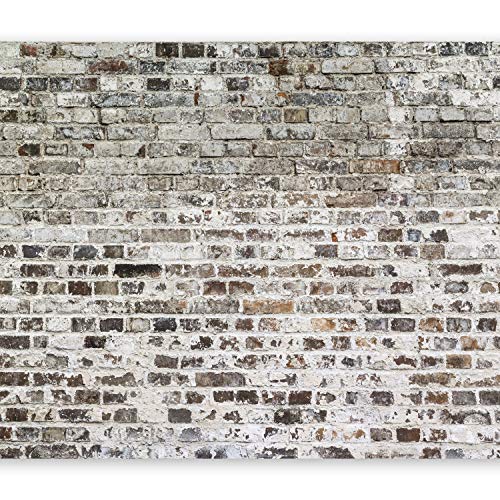 murando Fotomurales 400x280 cm XXL Papel pintado tejido no tejido Decoración de Pared decorativos Murales moderna de Diseno Fotográfico Ladrillo f-a-0411-a-b