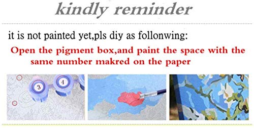 N-L Pintura Pintura por números para Adultos   Kits de Pintura DIY por números para niños Principiantes sobre Lienzo Francia Castillo de   Valencia   40x50cm