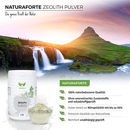 NaturaForte Polvo de zeolita 500g - Clinoptilolita 95%, molido Extra Fino de Primera Calidad, sin aditivos, Roca volcánica Pura y Natural. Probado y controlado en Alemania