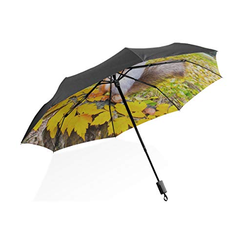 Nuevo Paraguas Hermosa Ardilla Come Nueces Paraguas Plegable Compacto Portátil Protección Anti UV A Prueba de Viento para Viaje Al Aire Libre Paraguas para Mujer Invertido