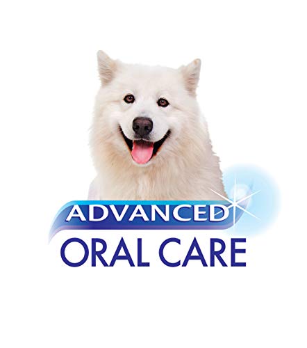 Nylabone Advanced Oral Care 2.5 oz Pasta de dientes de perro natural con sabor a cacahuete