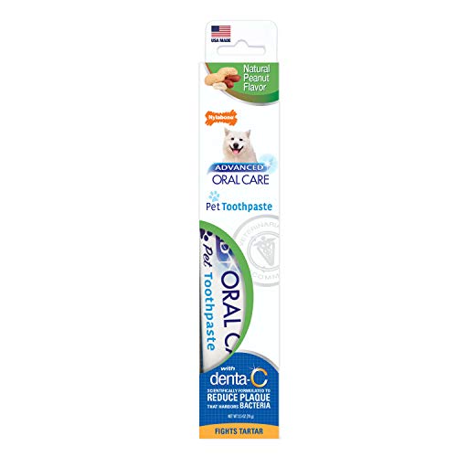 Nylabone Advanced Oral Care 2.5 oz Pasta de dientes de perro natural con sabor a cacahuete