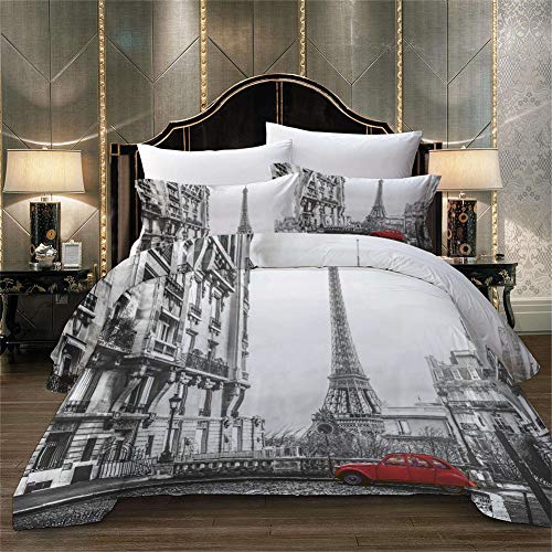 Odot Juego de Funda de Edredón, 3 Piezas 100% Poliéster Funda Nórdica y Funda de Almohada 3D Impresión para Todo el Mundo Adultos y Adolescentes (135x200-2pc,Paris)