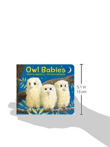 Owl Babies