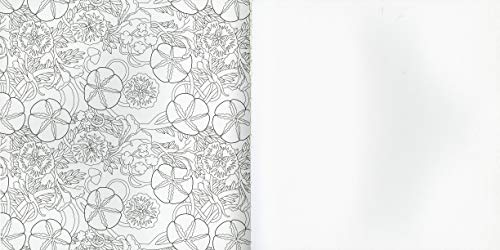 Primavera. Un Libro para Colorear (Mandalas de las estaciones)