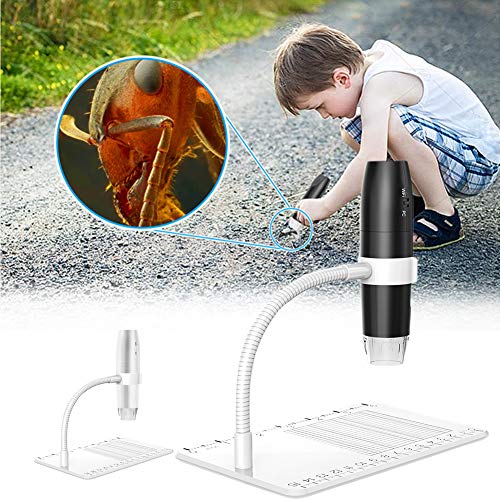 PURATEN - Microscopio Digital inalámbrico, cámara microscópica USB con iluminación LED HD 1080P de 50 a 1000 aumentos, Compatible con Android, teléfono iOS, Mesa, PC, No Cero, Blanco, Tamaño Libre