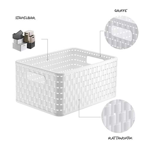 Rotho Country, Caja de almacenamiento 11l en rattan-look, Plástico PP sin BPA, blanco, A5x, 11l 32.8 x 23.8 x 16.0 cm