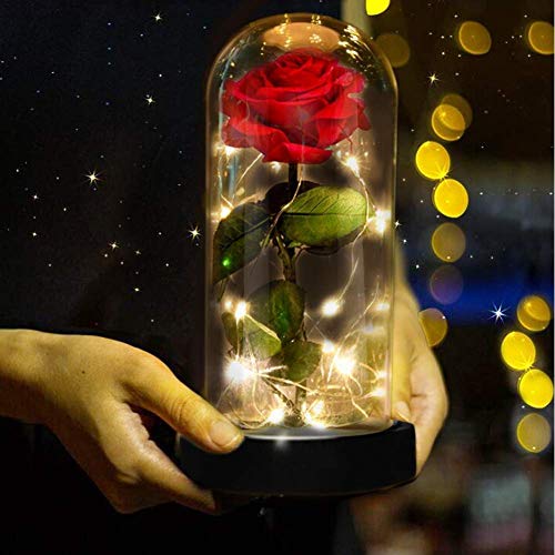 Ruiuzi La Bella y La Bestia Rosa Encantada, Elegante Cúpula de Cristal con Base Pino Luces LED, Beauty and Beast Regalos Magicos Decoración para Día de San Valentín Aniversario Bodas (Negro)