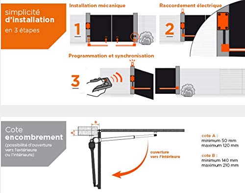 SCS Sentinel SCS1 Standard - Kit de motorización para puerta oscilante, 24 V