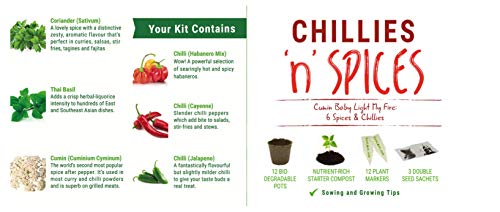 Set de Cultivo de Especias y chilis «Chillies 'n' Spices», Ideal como Regalo 6 sensacionales Chiles y Especias llenos de Sabor. Fáciles de Cultivar.