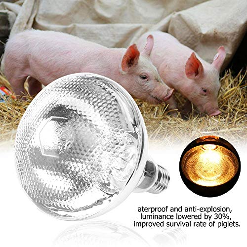 Sheens Anti-Explosión 1 Unid Pig Piglet Lámpara de Calor Grueso Bombilla de Luz Impermeable Superficie del Punto Emisor de Calor Grueso para Mascotas Criador Coop Pollo Pig Piglet Cochinillo (175)