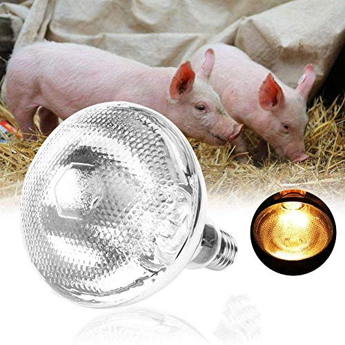 Sheens Anti-Explosión 1 Unid Pig Piglet Lámpara de Calor Grueso Bombilla de Luz Impermeable Superficie del Punto Emisor de Calor Grueso para Mascotas Criador Coop Pollo Pig Piglet Cochinillo (175)