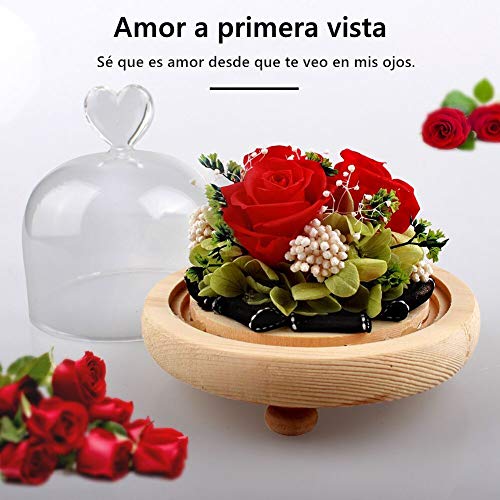 StillCool Rosa Eterna, La Bella y La Bestia, Elegante Cúpula de Cristal con Base Pino con 8 Colores de luz LED, para la decoración del hogar Boda Cumpleaños el Aniversario de Boda