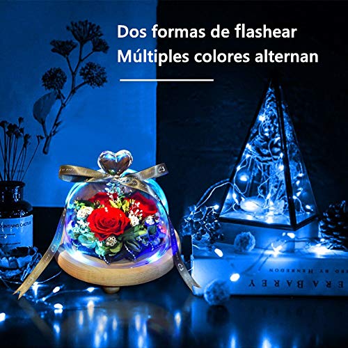 StillCool Rosa Eterna, La Bella y La Bestia, Elegante Cúpula de Cristal con Base Pino con 8 Colores de luz LED, para la decoración del hogar Boda Cumpleaños el Aniversario de Boda