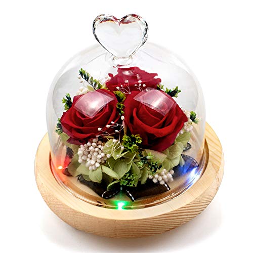 Swonuk Rosa eterna con 8 Colores de luz LED Flor Conservada Rosa con Pétalos Caídos Rosa Encantada para el Aniversario de Boda de San Valentín