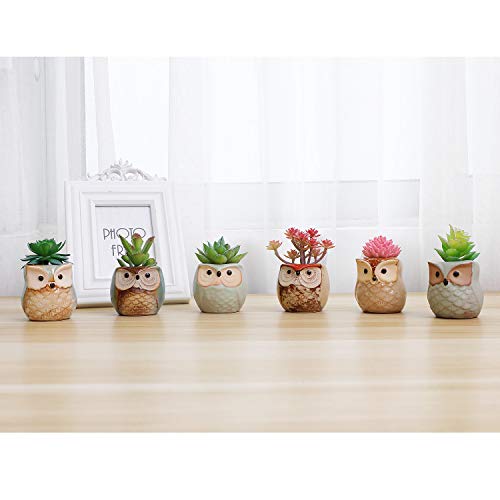 T4U 5.5CM Búho Macetas para Cactus de Cerámica Paquete de 6, Mini Maceteros Pequeños para Suculento Plantas Casa y Jardin Boda Decorativos Interior