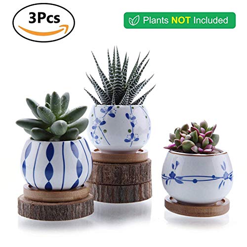 T4U 7cm Cerámico Suculento Maceta Cactus Flor Macetas Envase Plantas con Bandeja de Bambú Juego Completo de 3