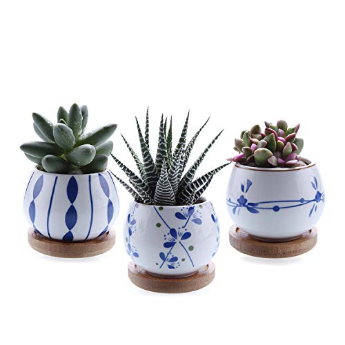 T4U 7cm Cerámico Suculento Maceta Cactus Flor Macetas Envase Plantas con Bandeja de Bambú Juego Completo de 3