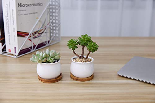 T4U Conjunto de 6 Ceramica Blanca Diseño de la Forma del Tarro Cerámicos Planta Maceta Suculento Cactus Planta Maceta Planta Contenedor Vivero Maceta Macetas de jardín Macetas Envase