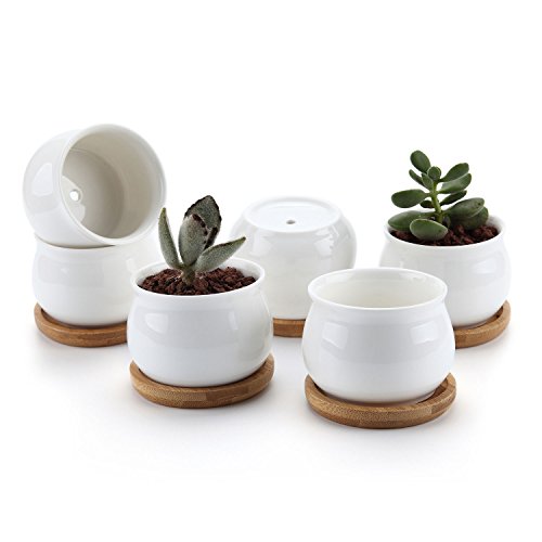 T4U Conjunto de 6 Ceramica Blanca Diseño de la Forma del Tarro Cerámicos Planta Maceta Suculento Cactus Planta Maceta Planta Contenedor Vivero Maceta Macetas de jardín Macetas Envase