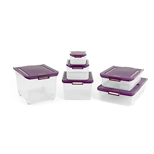 TATAY 1150120 - Caja de Almacenamiento Multiusos con Tapa, 14 l de Capacidad, Plástico Polipropileno Libre de BPA, Morado, 27 x 39 x 19 cm