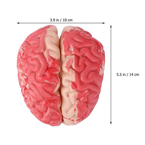 TOYANDONA Decoración de Halloween, molde de cerebro sangriento truco broma, órgano artificial para disfraz de Halloween