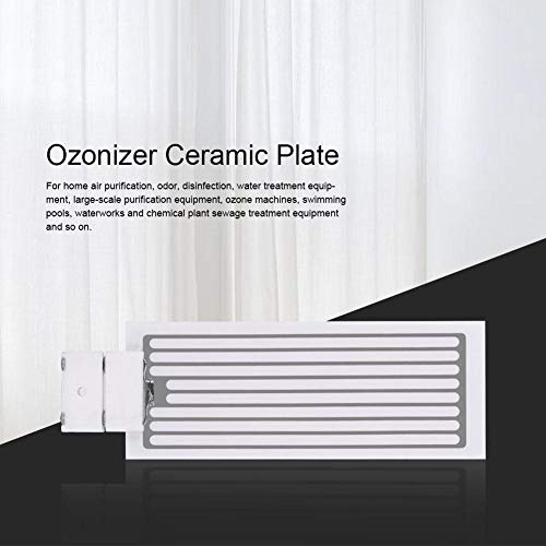 WolfGo Ozonizador de Placa de cerámica Kit de purificador de Aire de Placa de cerámica ozonizador generador de ozono portátil(5g)